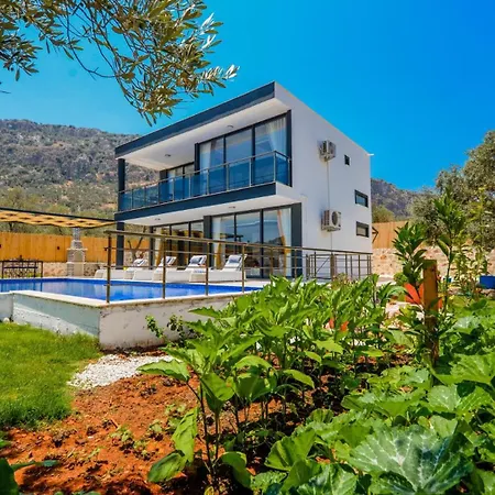 Ulugol 2 Bedroom 8996 Villa